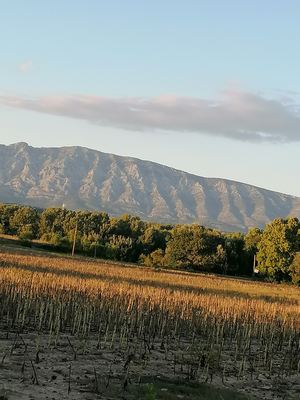 Journée des Ecrivains de Provence